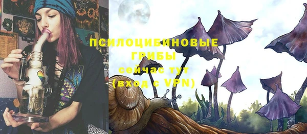 соль курить ск Медвежьегорск
