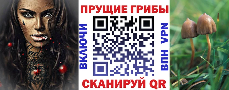 Псилоцибиновые грибы прущие грибы  блэк спрут рабочий сайт  Покров 